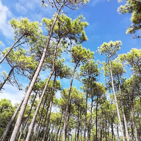 Maison Bord De A Noirmoutier Дом отдыха