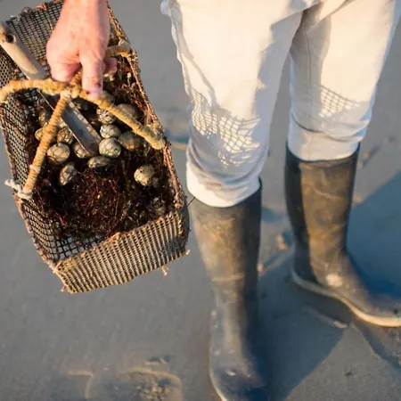 Maison Bord De à Noirmoutier * Barbâtre