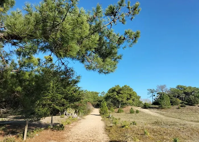 Maison Bord De A Noirmoutier Barbatre
