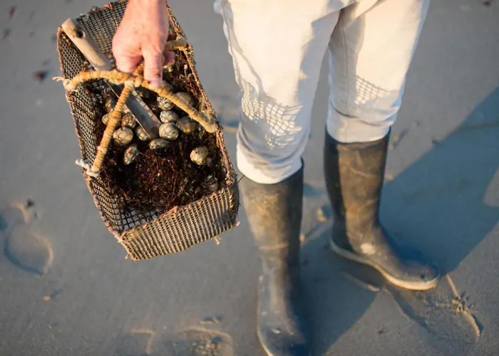 Maison Bord De à Noirmoutier * Barbâtre