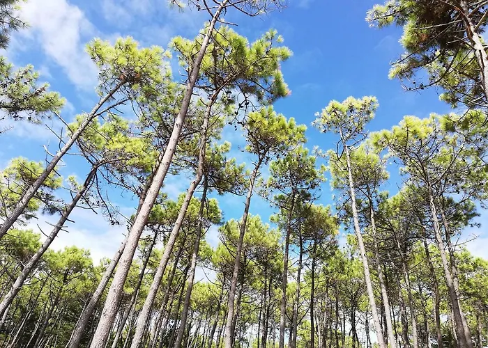 Maison Bord De A Noirmoutier 펜션